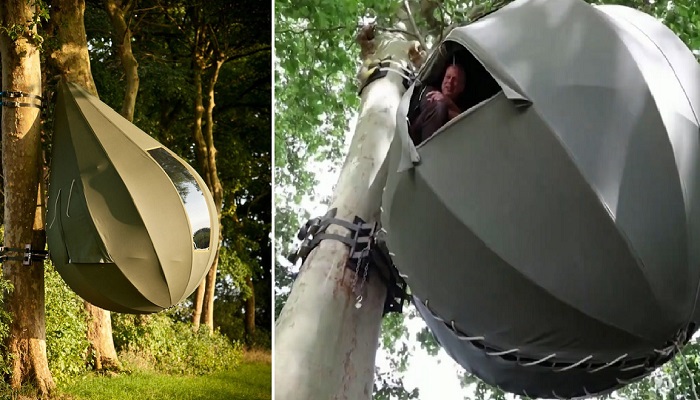 Появился экзотический вид палатки, где гости отдыхают, свисая с дерева - Архитектура и интерьер