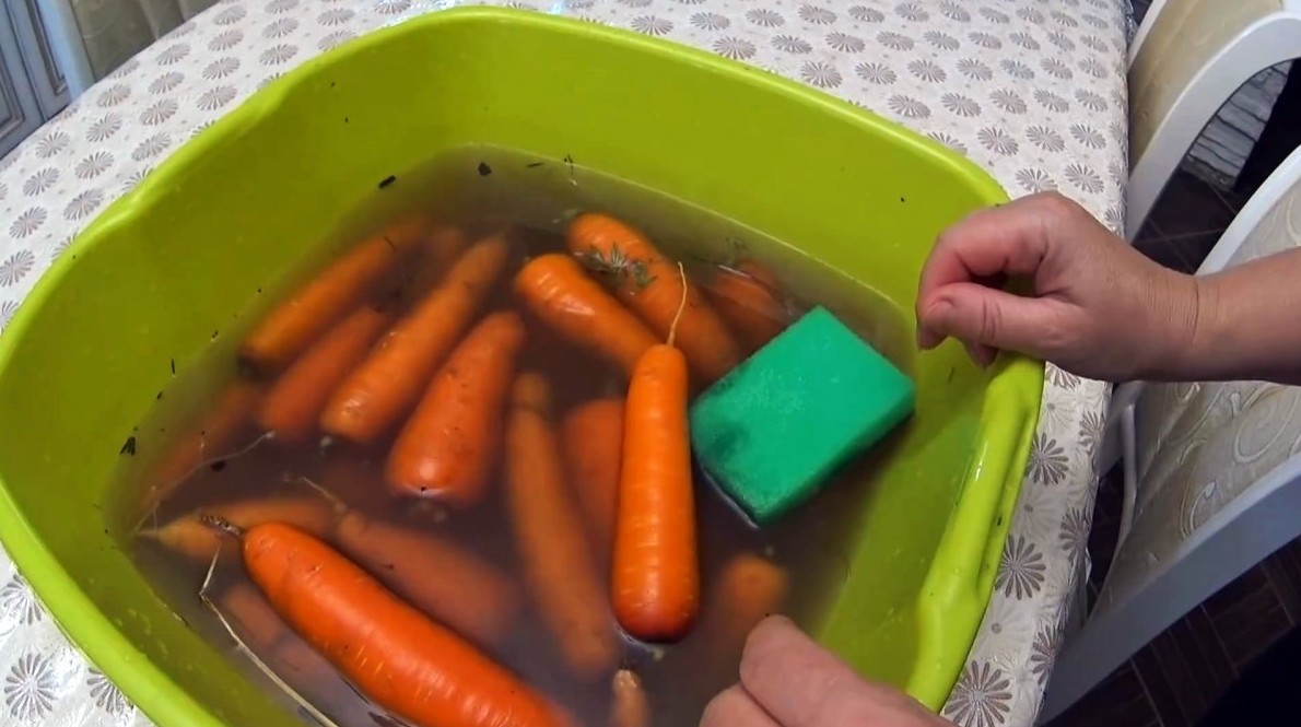 Доказано, что это надежный способ сохранить морковь и свеклу в течение многих лет.