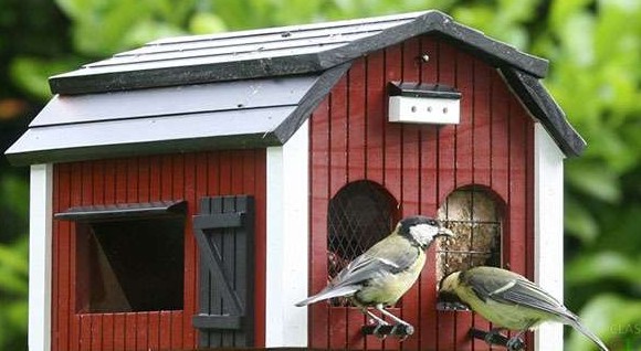 Идеи создания кормушек для птиц из подручных материалов - «Дом и быт»