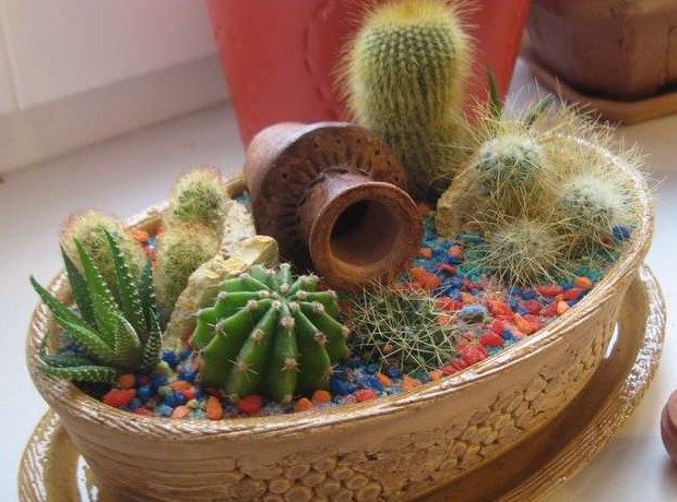 Мини-сады из кактусов своими руками - «Дом и быт»