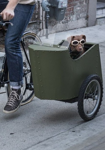 Велосипедная коляска для собаки - «Техника»