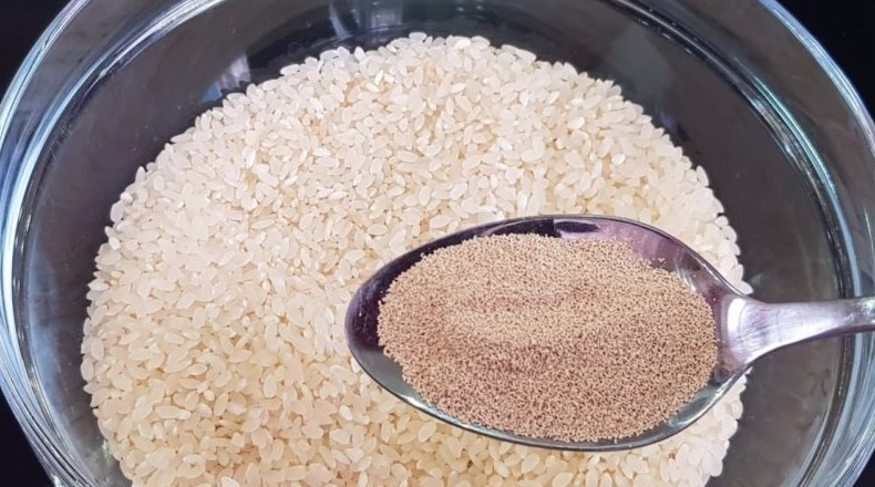 Смешайте рис с дрожжами — вкусная еда за копейки - «Своими руками»