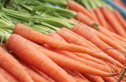 Какие сорта моркови лучше высаживать на дачном участке? Отзывы - «Сад и огород»