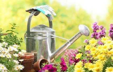 Лучший помощник для огородника – лунный посевной календарь 2017 - «Сад и огород»