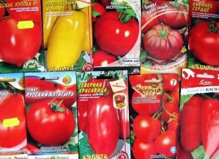 Семена томатов для открытого грунта – какие выбрать? - «Сад и огород»