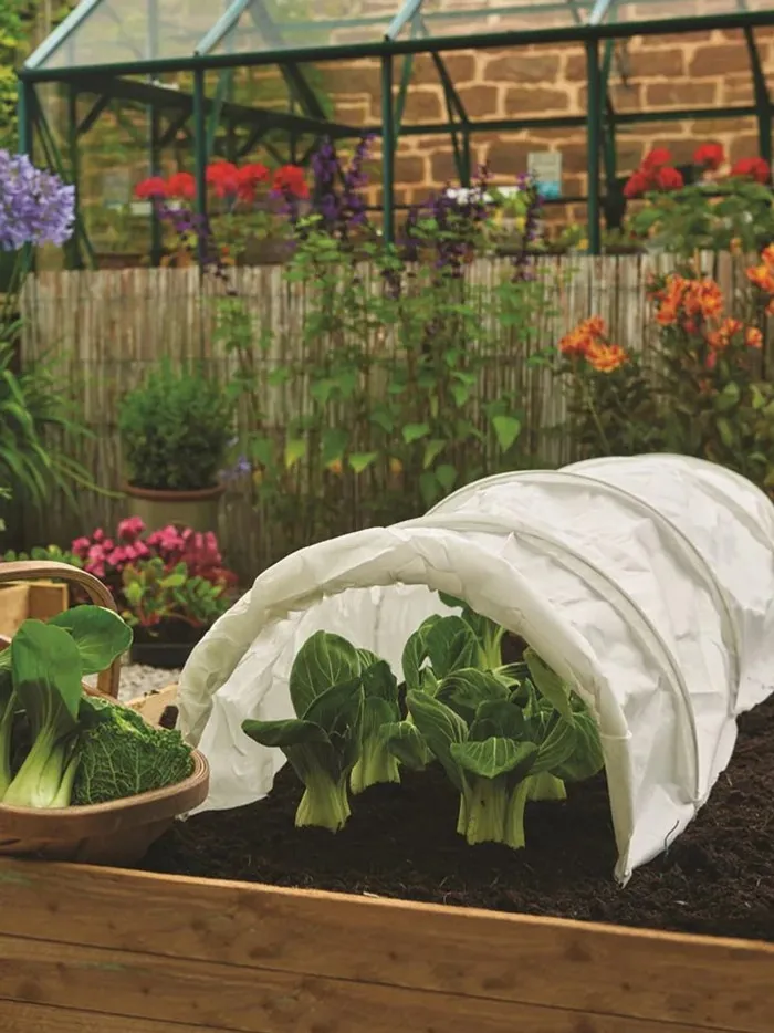 Умные и полезные идеи, которые помогут защитить сад от мороза - «Своими руками»