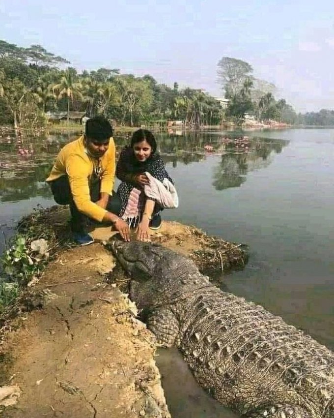 18 забавных фотографий из Индии, показывающих, насколько это веселое и странное место - «Своими руками»