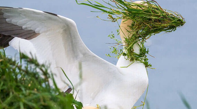 Самые смешные фотографии мира диких животных: они тоже могут быть милыми и обаятельными - «Своими руками»