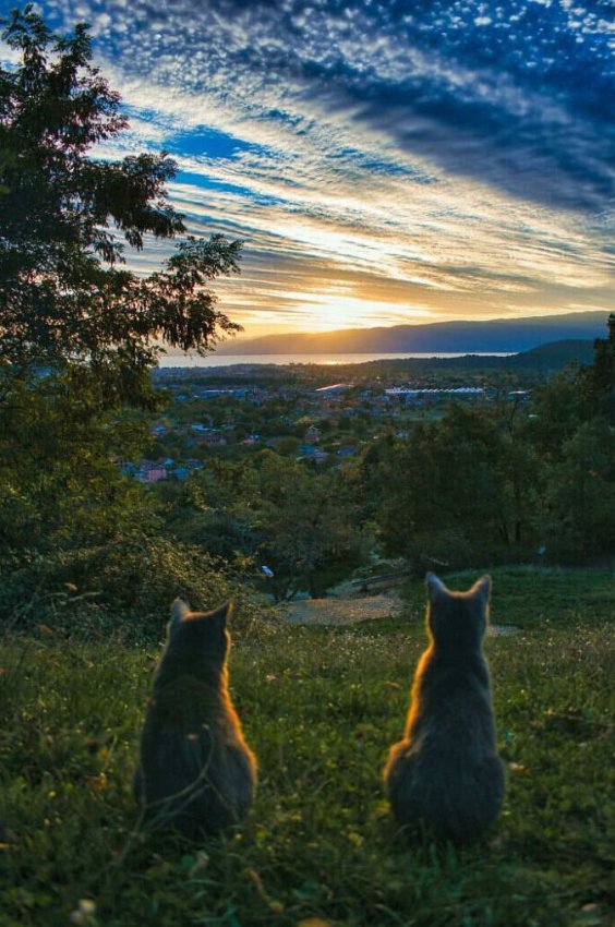 Поставьте вселенную на паузу: 17 кадров, где красота застала нас врасплох - «Своими руками»