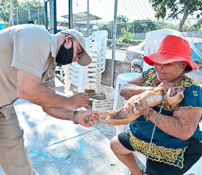 Важная наука: 16 неоспоримых доказательства того, что животные — это счастье - «Своими руками»